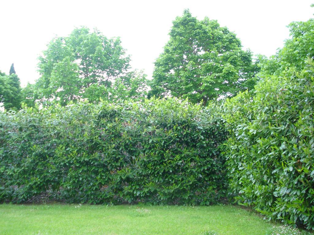 La Vigna Apartment Siena Zimmer foto